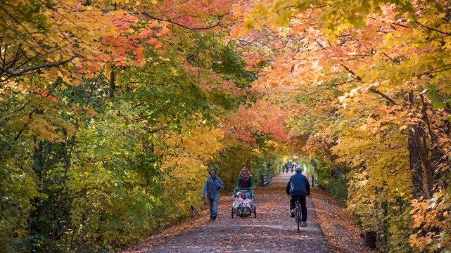 2015-10-25 Carmel Fall-31