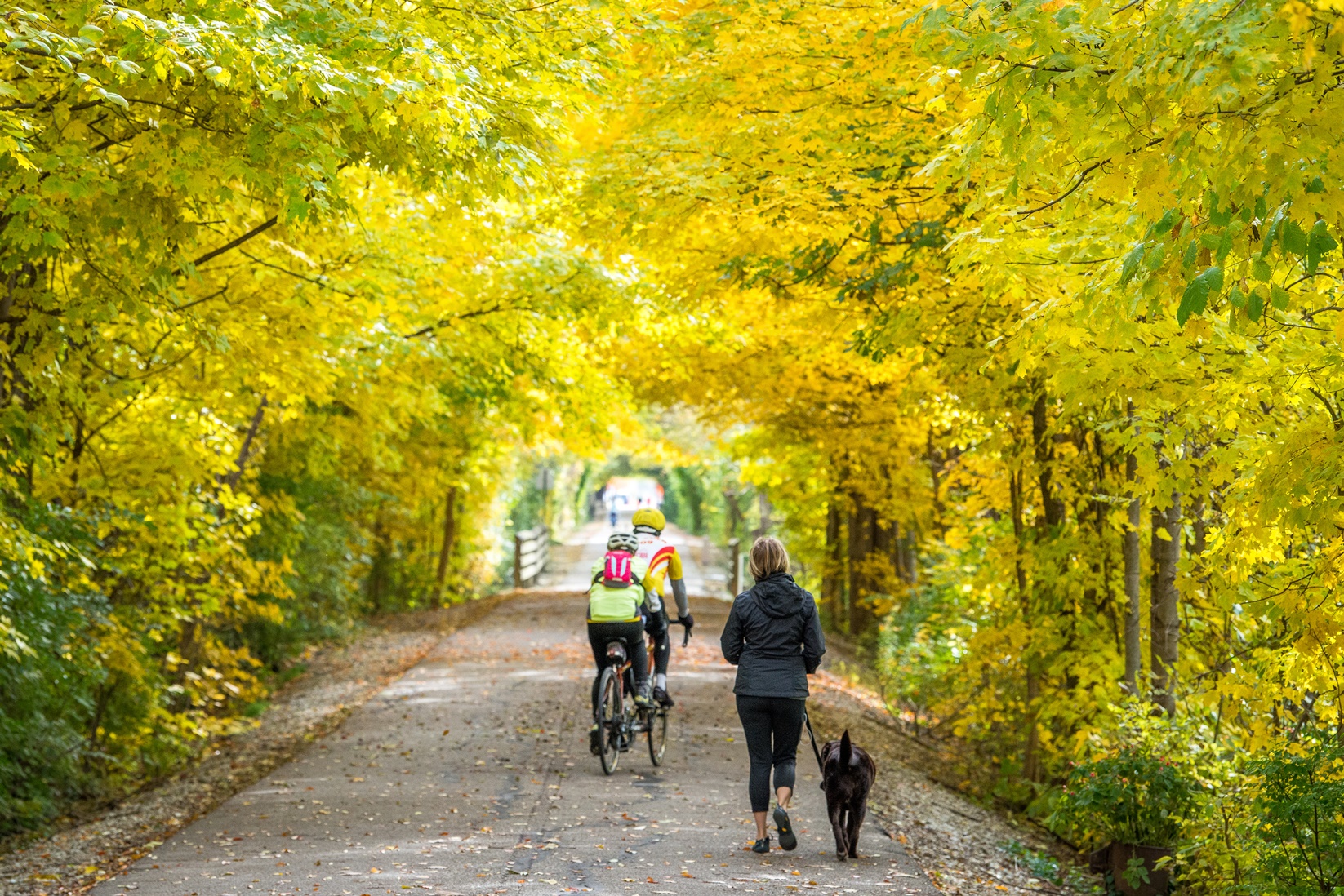 Monon Greenway fall 2018 Carmel